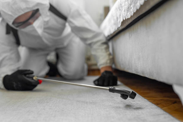 Professional Rodent Control technician working in Yates County County, NY